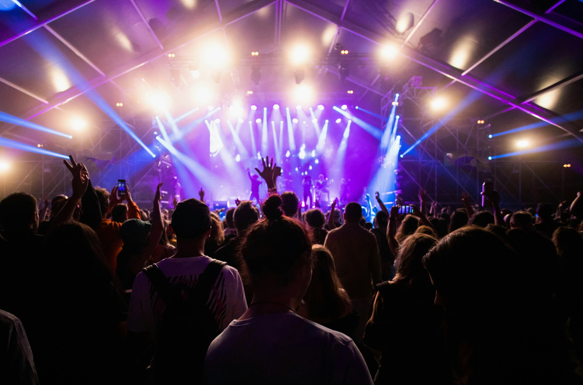 Crowd At Concert Summer Music Festival